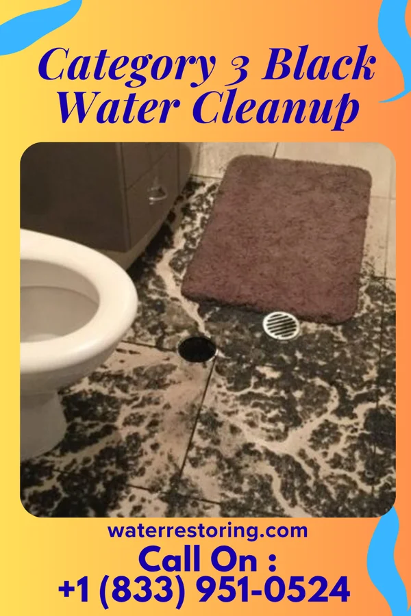 Category 3 Black Water Cleanup in Sand Hill, PA