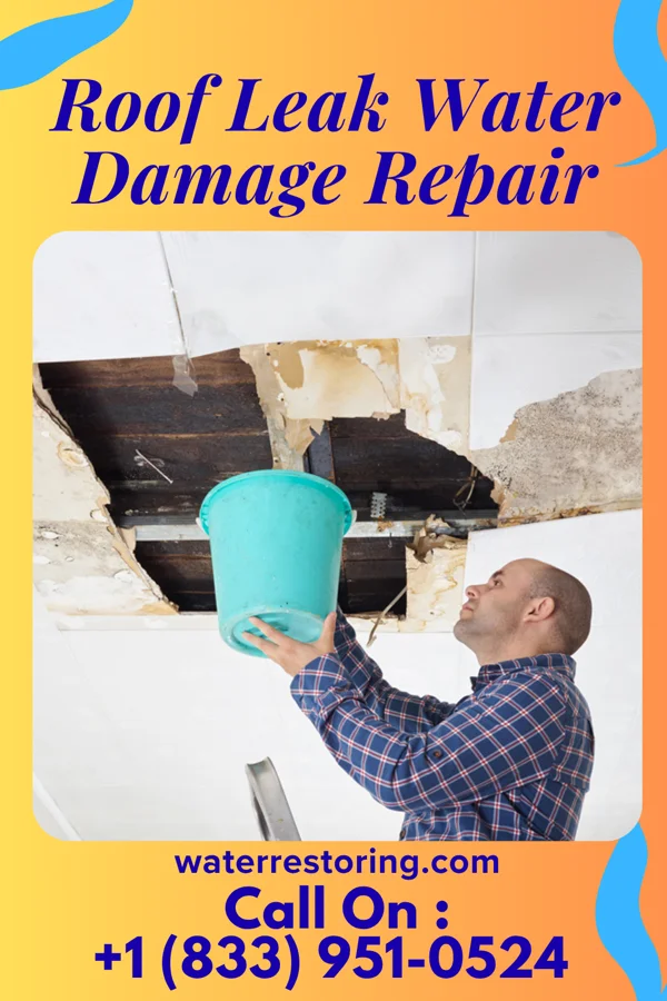 Roof Leak Water Damage Repair in Sand Hill, PA