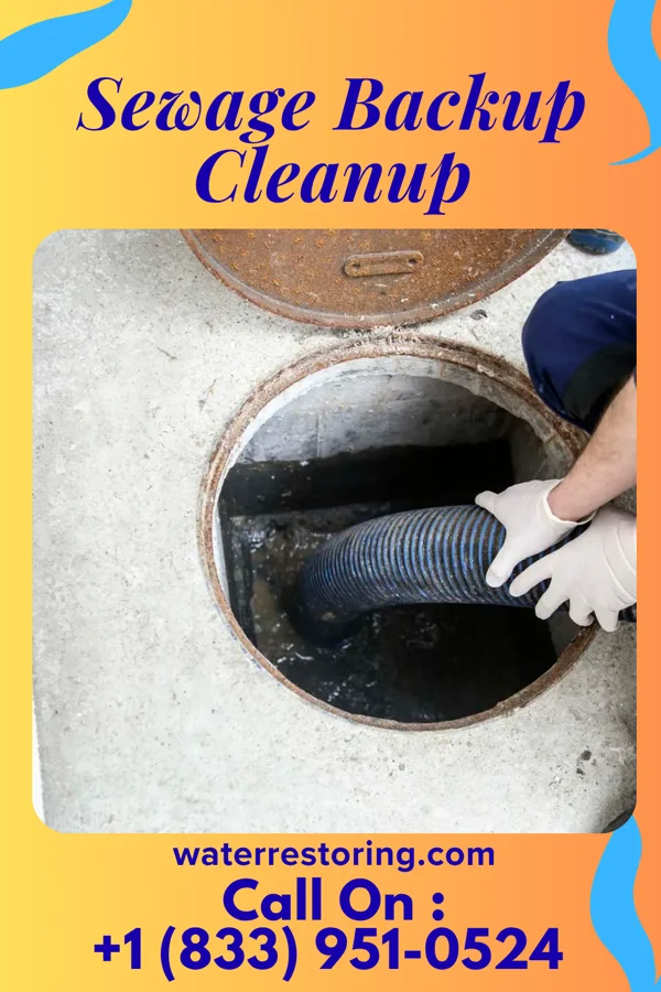 Sewage Backup Cleanup in Sand Hill, PA
