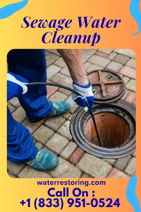 Sewage Water Cleanup in Sand Hill, PA